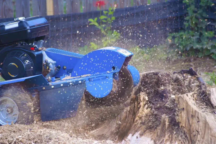 Experienced Stump Grinding Service Azusa, CA Experienced Stump Grinding Service Azusa, CA