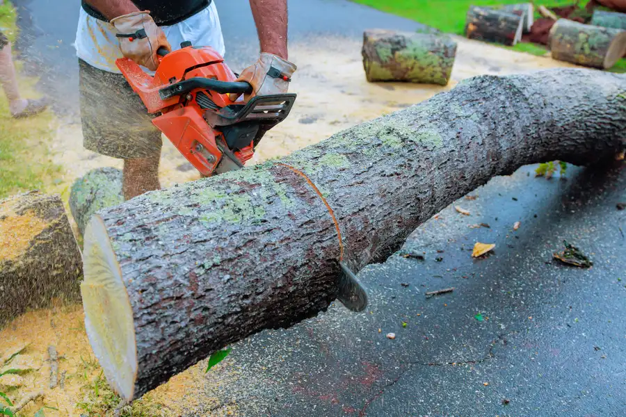 Premium Emergency Tree Removal Azusa, CA Premium Emergency Tree Removal Azusa, CA