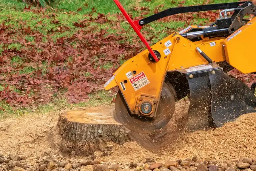 Top-rated Stump Grinding Service Azusa, CA Top-rated Stump Grinding Service Azusa, CA
