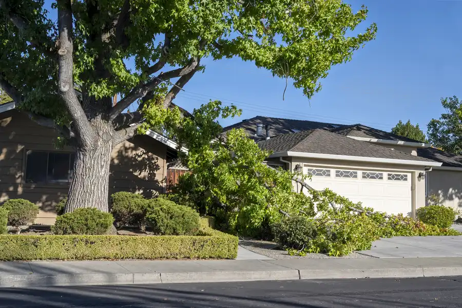 When Emergency Tree Removal Is Necessary After Storms Azusa, CA When Emergency Tree Removal Is Necessary After Storms Azusa, CA